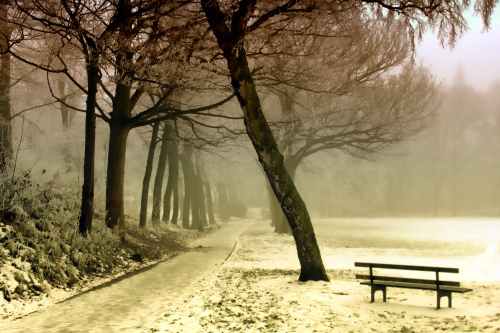 bench cold dawn environment