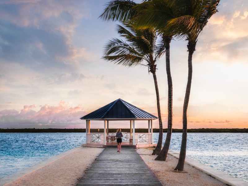 Our Environment Makes More of a Difference to Our Health and Mental State Than We&nbsp;Realise