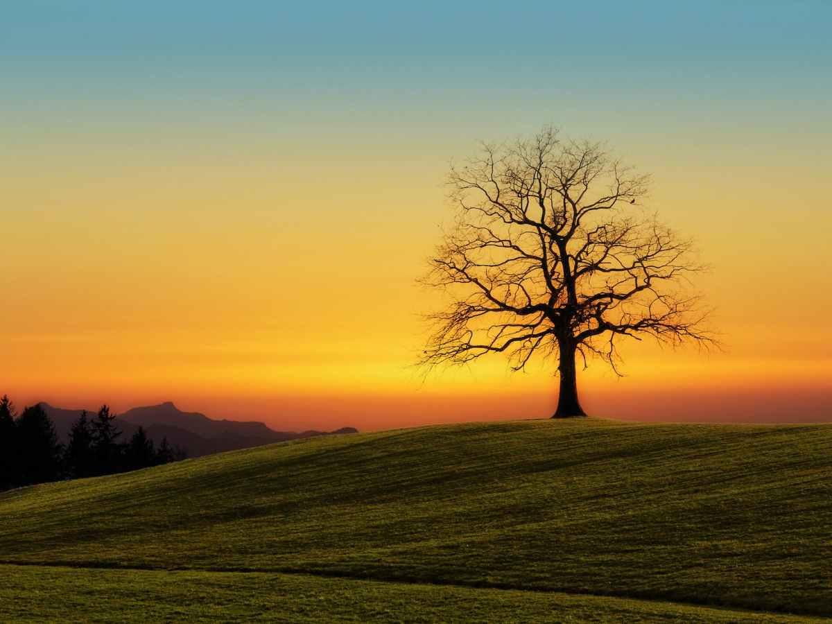 Isolation and Loneliness: Which One Is More Damaging to Our Long-term&nbsp;Health?